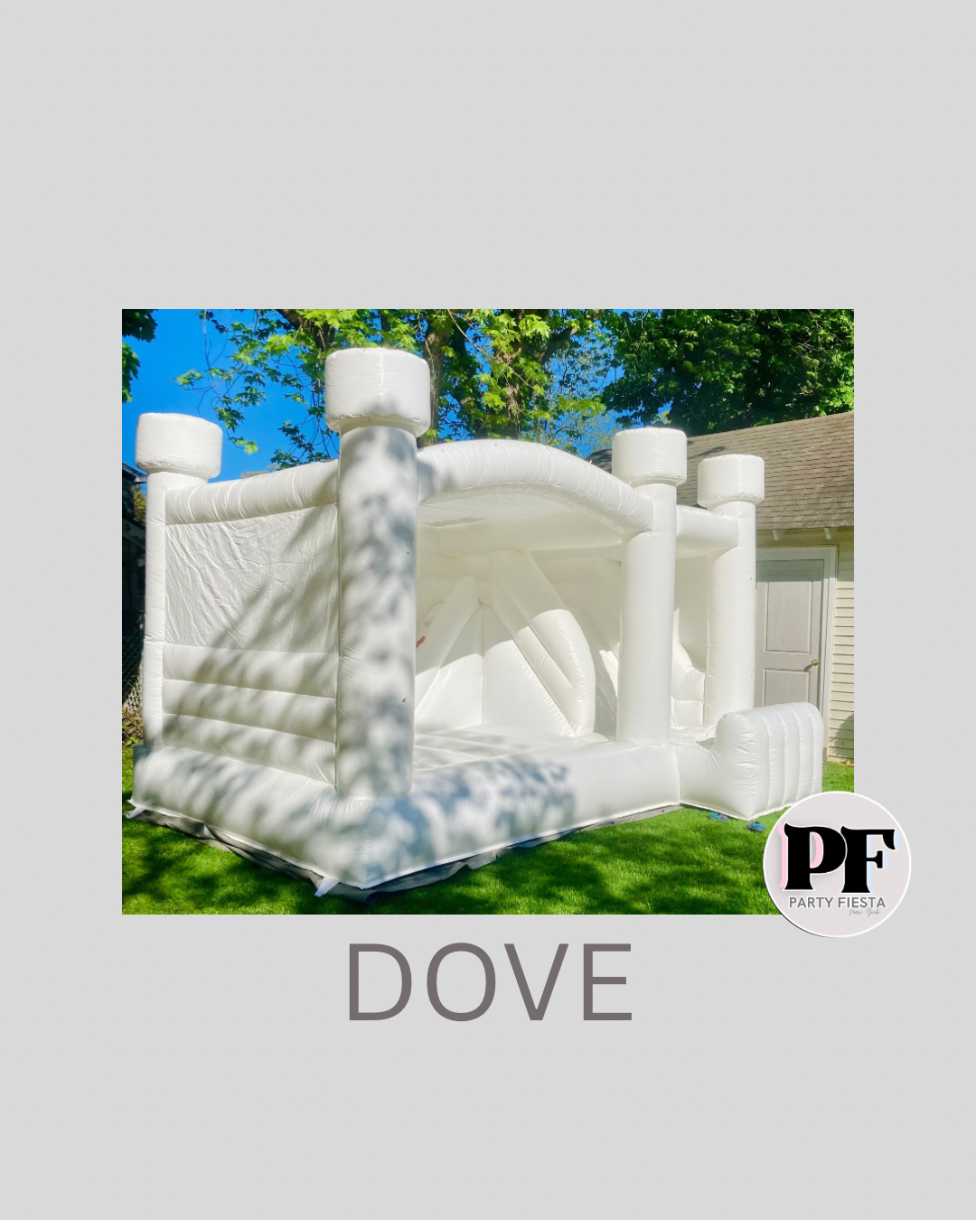 BOUNCE HOUSES WITH ATTACHED SLIDE
