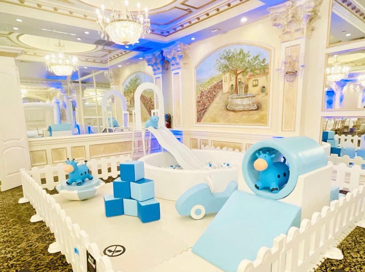 Playing Video Rent In SOFT PLAY RENTAL FOR BOYS – partyfiestany.com