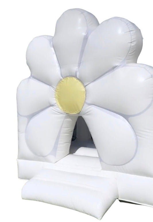 BABY FLOWER